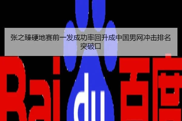张之臻硬地赛前一发成功率回升成中国男网冲击排名突破口